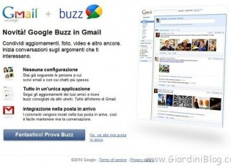 google buzz