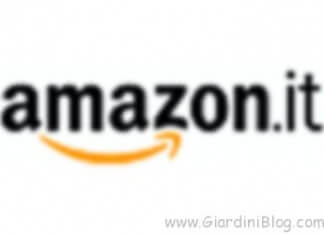 amazon it