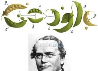 Gregor Mendel