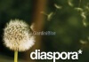 diaspora-dandy-logo