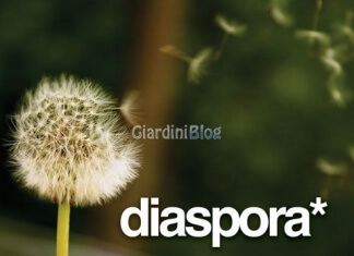 diaspora-dandy-logo