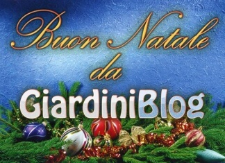 buon-natale-2011-da-giardiniblog