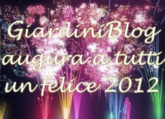 felice 2012