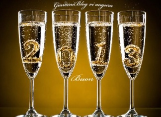 Buon 2013