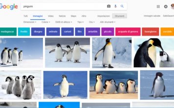 Google Immagini: i trucchi per sfruttarne le funzionalità