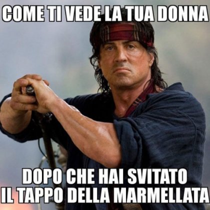 meme famoso silvester stallone