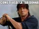 meme famoso silvester stallone