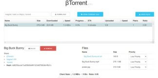 Scaricare file torrent senza programmi