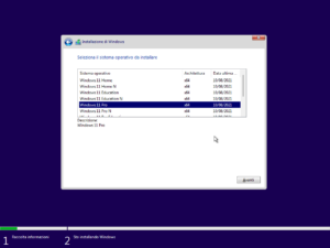 Seleziona versione Windows 11