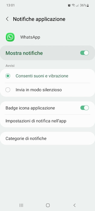 Whatsapp Notifiche Applicazione