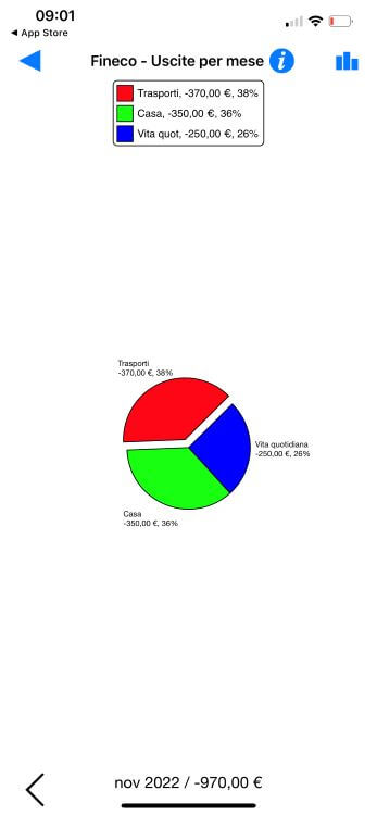 Visual Budget Grafici